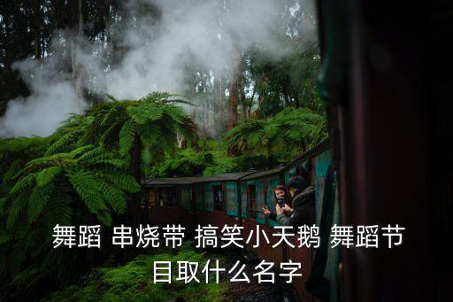  舞蹈 串烧带 搞笑小天鹅 舞蹈节目取什么名字