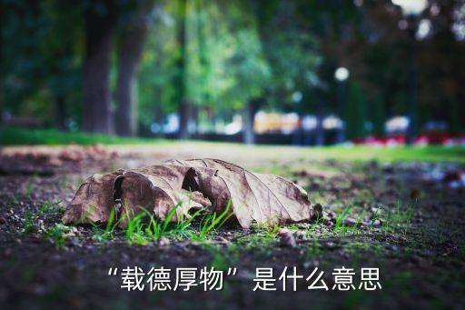 儿童厚德载物舞蹈视频,厚德载物是中华民族精神的最高境界!