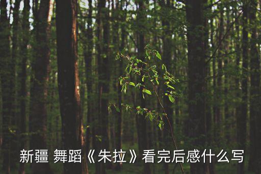 新疆维吾尔舞蹈教育,新疆舞蹈精品展示