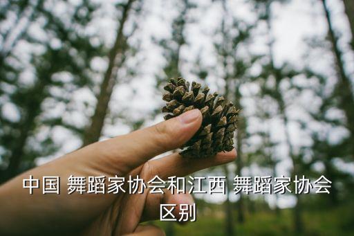 中国 舞蹈家协会和江西 舞蹈家协会区别
