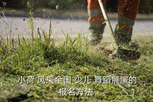 2016小荷风采少儿舞蹈,国展少儿-3/系列报导