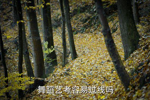高考舞蹈培训计划,舞蹈专业考生如何报名参加全国文化普高考