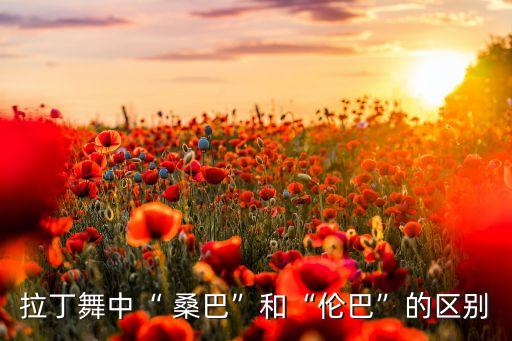 拉丁舞中“ 桑巴”和“伦巴”的区别