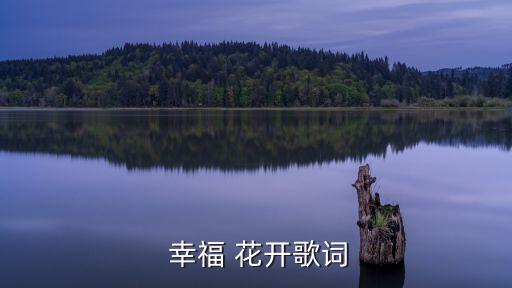  幸福 花开歌词