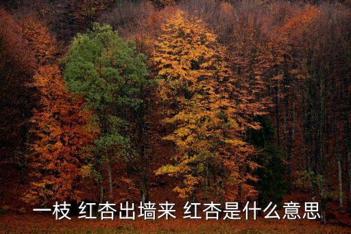  一枝 红杏出墙来 红杏是什么意思