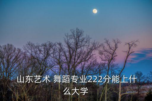  山东艺术 舞蹈专业222分能上什么大学
