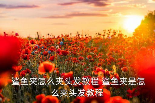  鲨鱼夹怎么夹头发教程 鲨鱼夹是怎么夹头发教程