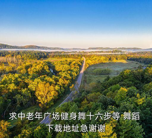 民族舞蹈教学视频下载,点击选项下载看视频学习广场舞