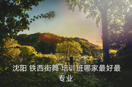  沈阳 铁西街舞 培训班哪家最好最专业