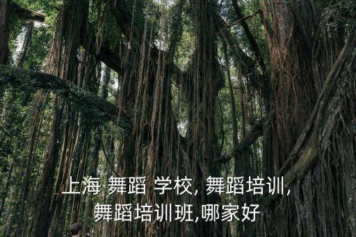  上海 舞蹈 学校, 舞蹈培训, 舞蹈培训班,哪家好