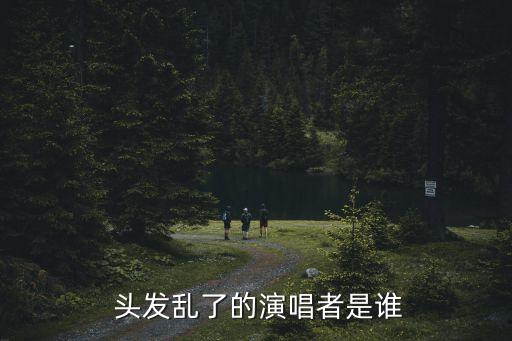  头发乱了的演唱者是谁