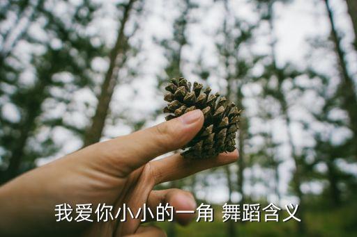 我爱你小小的一角 舞蹈含义