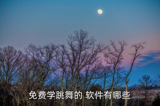 学习舞蹈的软件,舞蹈学跳舞app软件