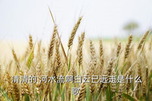  清清的 河水流啊白云已远走是什么歌