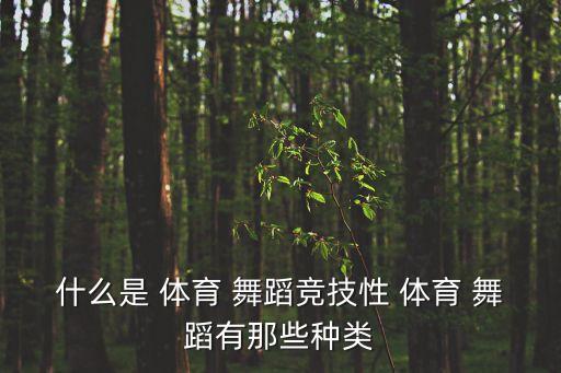 什么是 体育 舞蹈竞技性 体育 舞蹈有那些种类