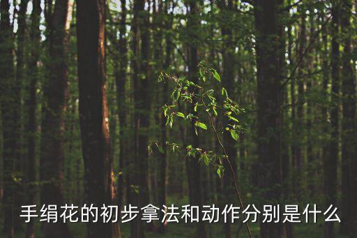 中国美手绢舞蹈视频大全,手绢花舞