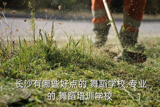  长沙有哪些好点的 舞蹈学校,专业的 舞蹈培训学校
