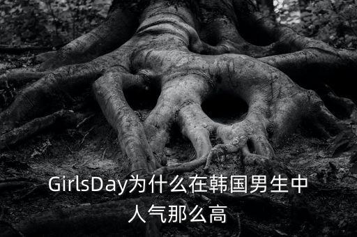 girlsday舞蹈,韩国女团吉尔吉斯斯坦首次走红