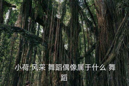  小荷 风采 舞蹈偶像属于什么 舞蹈