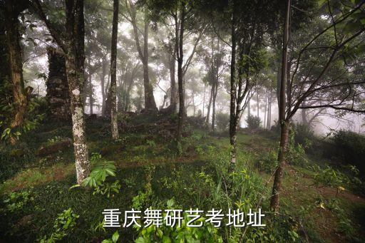 重庆舞蹈教室,重庆舞蹈研究艺考地址位于西郊支路12号