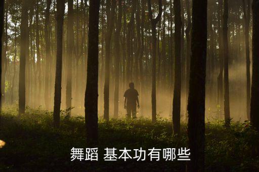  舞蹈 基本功有哪些