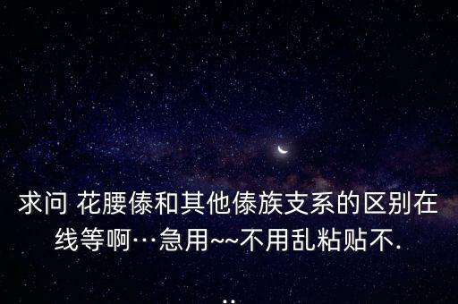 求问 花腰傣和其他傣族支系的区别在线等啊···急用~~不用乱粘贴不...