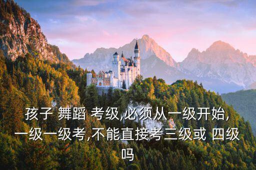 山东省舞蹈考级四级,曾任北京舞蹈学院考级中心主任