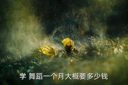 小女孩学舞蹈多少钱,舞蹈符合多元社会意义和功能课程费用高