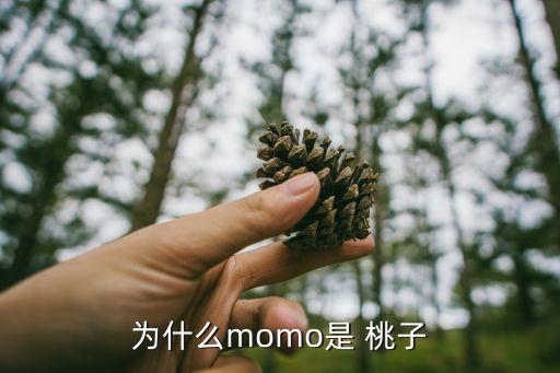 为什么momo是 桃子