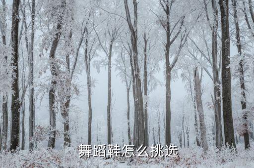 民族舞舞蹈皮鞋,舞蹈鞋子知多少?