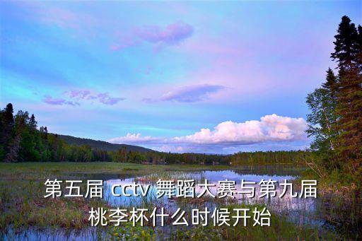 cctv 舞蹈,第五届中国舞蹈大赛正式启动