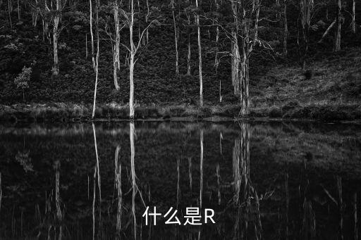 一个叫r什么的外国舞蹈视频,美国街舞起源于纽约布鲁克林