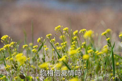 相信爱 舞蹈视频,第二种是没有过爱情的人会相信爱情美好