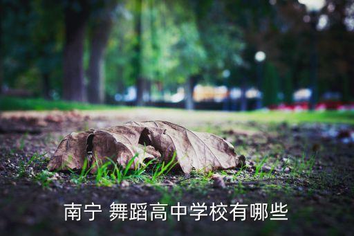 南宁 舞蹈高中学校有哪些