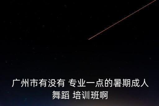  广州市有没有 专业一点的暑期成人 舞蹈 培训班啊