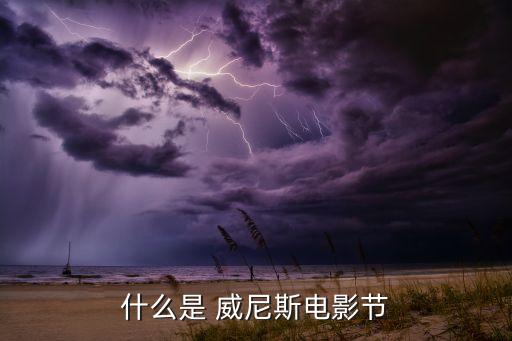 什么是 威尼斯电影节