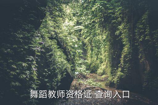 重庆舞蹈证书查询,中小学教师资格考试网查询上网报名