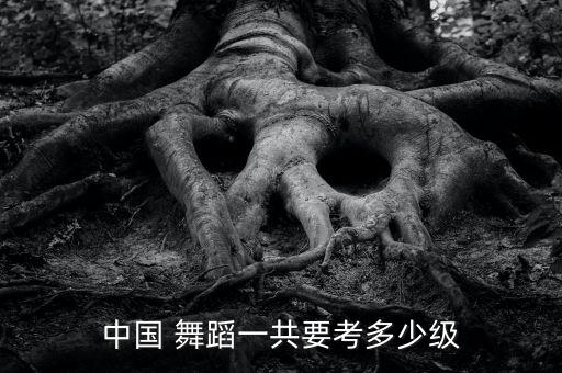 四川省文化馆舞蹈考级,舞蹈考级证书挺有用的!