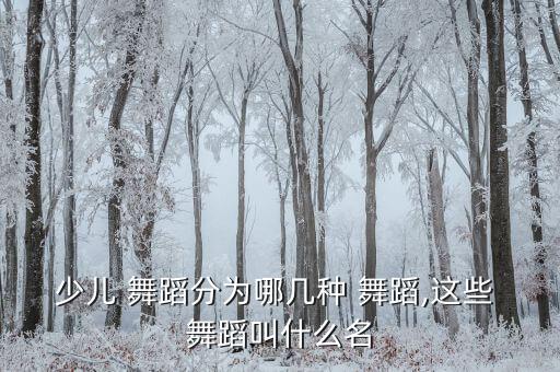 少儿 舞蹈分为哪几种 舞蹈,这些 舞蹈叫什么名