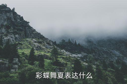 彩蝶舞蹈视频,彩蝶飞动的夏天