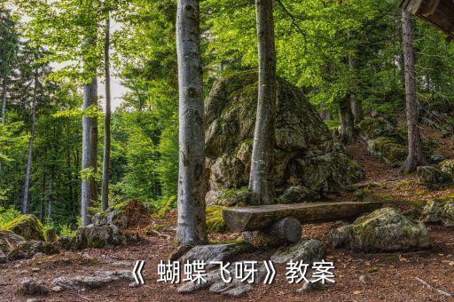 《 蝴蝶飞呀》教案