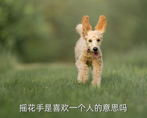 摇花手是喜欢一个人的意思吗