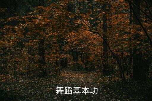 舞蹈基本功