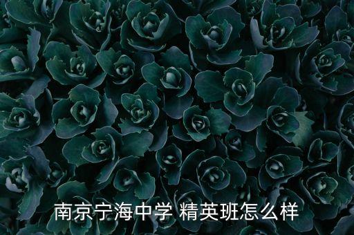 舞蹈精英班的选拔,北京宁海中学艺考生可报名参加精英班