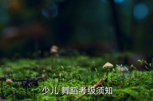 中国少儿舞蹈协会电话,中国舞蹈等级考试从何而来?