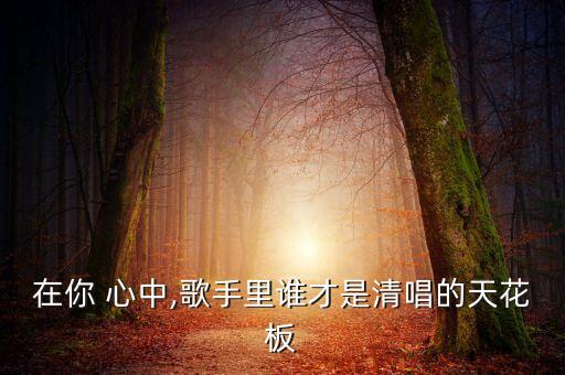 请在你心中舞蹈男女合唱的,第二集:我和你一样爱你