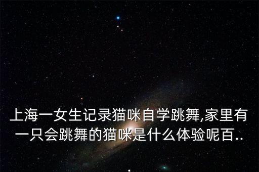 小猫上学舞蹈视频,埃及猫跳舞视频走红跟埃及艳后一模一样