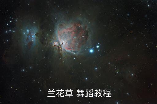 舞蹈说兰花讲了什么名字,舞兰花期不固定只要植株成熟就能开