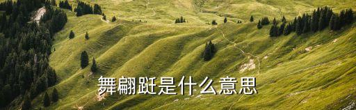 荷花赋舞蹈教学,火树银花不尽，兄弟姐妹舞