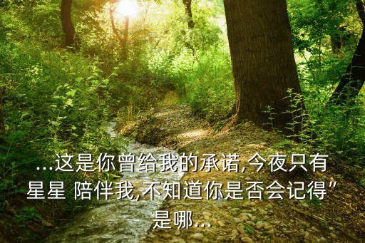 基督教舞蹈是你陪伴我,凤仙花谢谢你给了我简单陪伴温暖